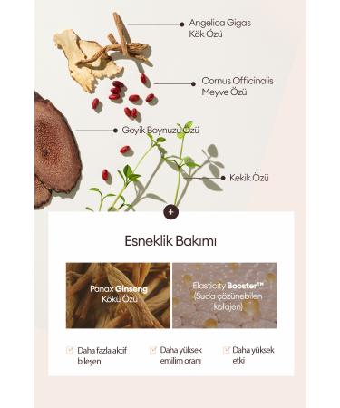 Missha Anti-Aging Moisturizing Cream Foundation CHOGONGJIN Esence Pact (21C) SPF50+/PA++++ - Buy Online on GoSupps.com