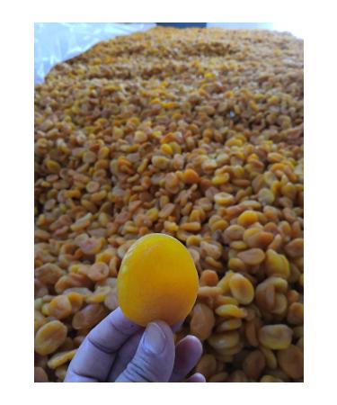 apricotburada Jumbo Malatya Yellow Apricot 1 Kg - Buy Online on GoSupps.com