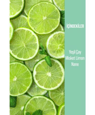 Herby Ice Tea Cool Lime Iced Tea No Sugar Added 250 ml x 12 - Buy Online on GoSupps.com