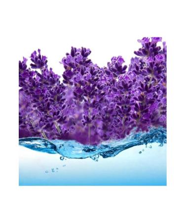 Mimosa Plant Market Pure Lavender Water 5000 ml