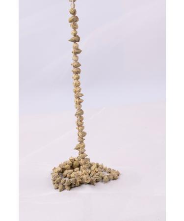 Chickpea Market Dried Okra - 1 Bunch