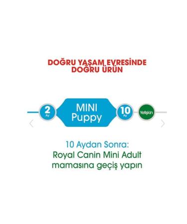 Royal Canin Mini Puppy Small Breed Puppy Food 2kg - Buy Online on GoSupps.com