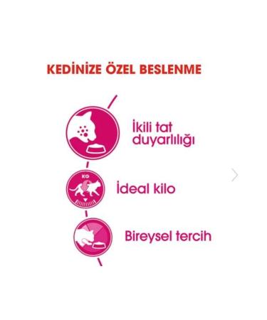 Royal Canin Savour Exigent Adult Cat Food for Picky Cats 4 Kg - Buy Online on GoSupps.com