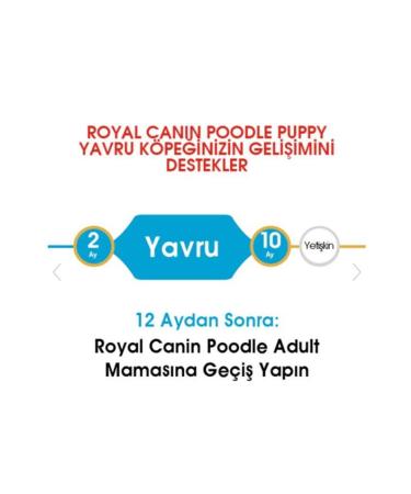 Royal Canin Dog Bhn Poodle Junior Dog Food 3 Kg - Buy Online on GoSupps.com