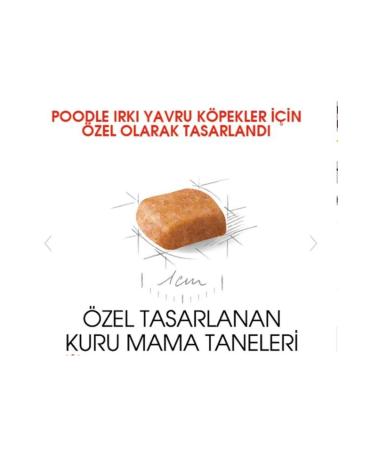 Royal Canin Dog Bhn Poodle Junior Dog Food 3 Kg - Buy Online on GoSupps.com