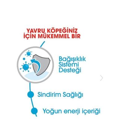 Royal Canin Mini Puppy Small Breed Puppy Food 2kg - Buy Online on GoSupps.com