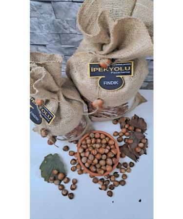 RADGX 3 KG HAZELNUT OILY HAZELNUT chubby hazelnut THIN SHELL HAZELNUT - Buy Online on GoSupps.com