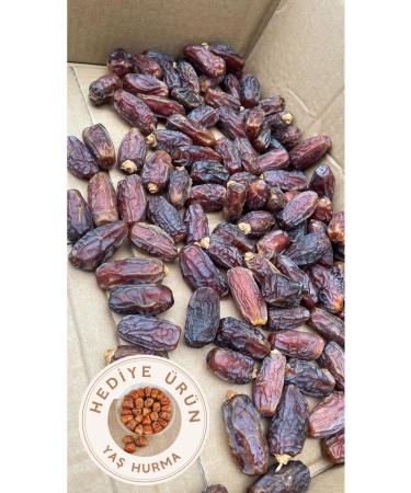 mabrum food Campaign 5 Kg Medina Mebrum Dates - Buy Online on GoSupps.com