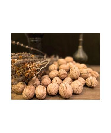 Gradiva Thin Shelled Oil Walnut New Harvest 1 Kg (2024 Local Chandler) - Buy Online on GoSupps.com
