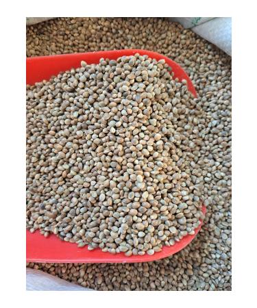 mhh Hemp (Cannabis) Seed Canary Goldfinch Food (1KG)