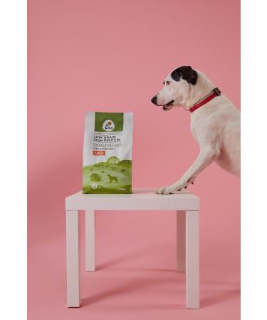 Kito 3 pieces 2.5 kg adult dog food - Buy Online on GoSupps.com