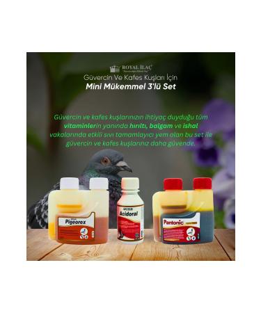 Royal la Royal la Perfect Triple Set for Pigeon Cage Birds and Poultry (ACIDORAL PIGEOREX PANTONIC)