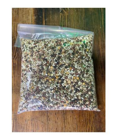 Fauna Pet Supplies 10kg Wheat-Free Dust-Free Luxury Gold Bird Pigeon Food Super Mixed Food (IN 2 KG PACKS) - Buy Online on GoSupps.com