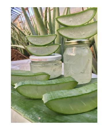 FidanBudur Pure Aloe Vera Gel Natural 330 Cc Drug-Free Production Glass Jar Aloe Vera Leaf Juice Natural - Buy Online on GoSupps.com