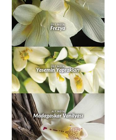 Avon Far Away Body Lotion 125 Ml. Set of 10 - Buy Online on GoSupps.com