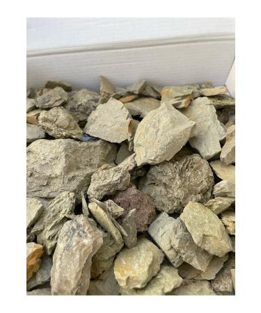 MIXED SNACKS Edible clay - Buy Online on GoSupps.com