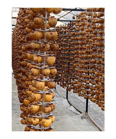 TANSU AHAL Paradise (Trabzon) Date Dried Return Guaranteed 1050gr - Buy Online on GoSupps.com