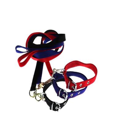 HELSOL Leash