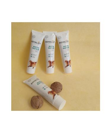 KORKMAZ PACKAGING Malt Zinc and Omegaa 3 Paste for Kittens and Big Cats (For 2 Pieces 1 Piece Free)