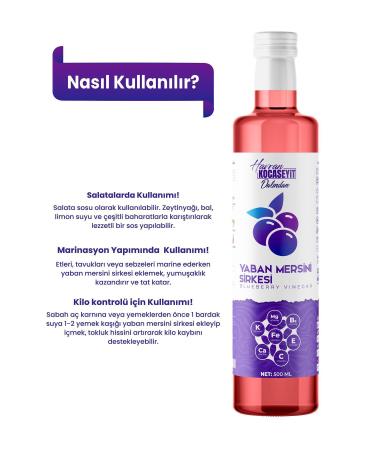 HAVRAN KOCASEYIT Natural Antioxidant Blueberry Vinegar 500 ml - Buy Online on GoSupps.com