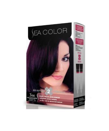 Sea Color Set Paint 3.66 Eggplant Purple