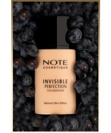 Note Cosmetics Invisible Perfection Foundation Lightweight Natural Finish Foundation - 170 Warm Bisque - Buy Online on GoSupps.com
