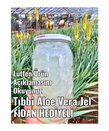 FidanBudur Natural Aloe Vera Gel 660 Ml Drug-Free Production