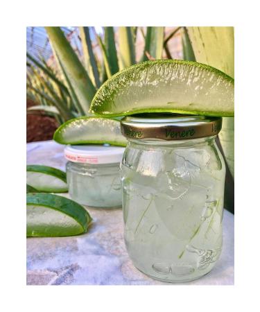 FidanBudur Aloe Vera Gel Natural 210 Ml Drug-Free Glass Jar Aloe Vera Leaf Juice Natural - Buy Online on GoSupps.com
