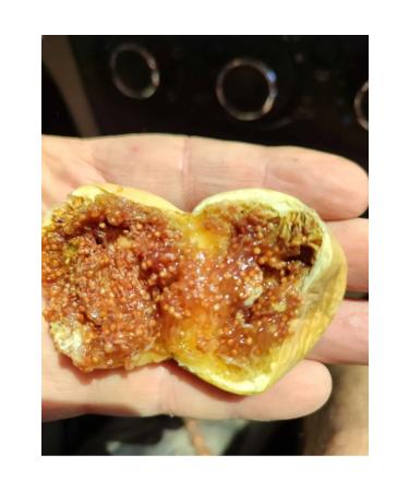 Natural Carefully selected thin-skinned honeyed Sar lop small size Ayd n Fig (1 kg) - Buy Online on GoSupps.com