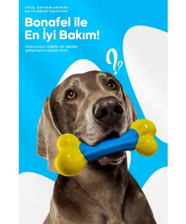 Bonafel Anti-stress Chewable Tablets for Cats and Dogs 100 gr (50 TABLETS) - Omega 3 and 6 Hemp Oil - Buy Online on GoSupps.com