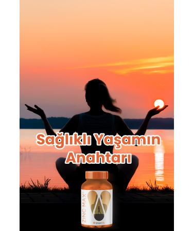 Wiserlife ZincMax - Immune Support Supplement with Zinc Copper Manganese and Vitamin C (30 Capsules) - Buy Online on GoSupps.com