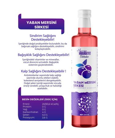 HAVRAN KOCASEYIT Natural Antioxidant Blueberry Vinegar 500 ml - Buy Online on GoSupps.com