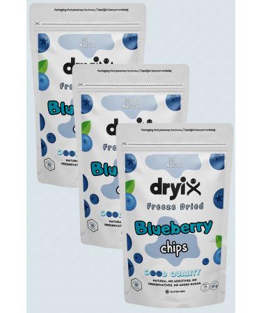 Dryix 3 Packs Dried Blueberries 20 Gr Freeze Dried Crispy Fruit Chips Freeze Dried