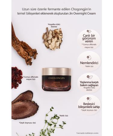 Missha Oriental Herbal Anti-Aging Night Care Cream CHOGONGJIN Youngan Jin Overnight Cream - Buy Online on GoSupps.com