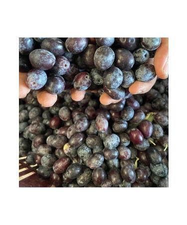 Bilgarden New Crop Gemlik Type Raw Black Olives Suitable for Making Saddle 5 Kg