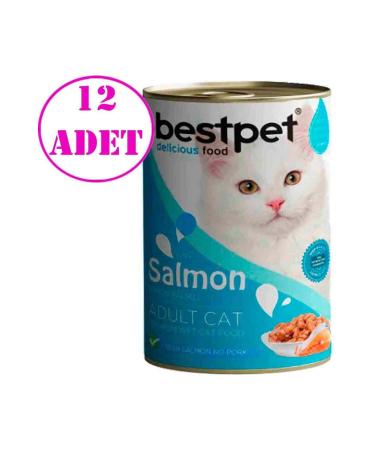 Bestpet Canned Cat with Salmon 400gr 12 Pcs