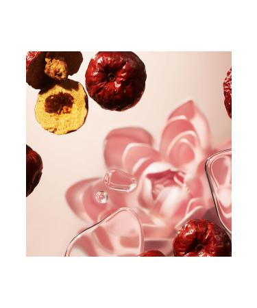 Rituals Ritual Of Jing Body Cream 220 ml Lotus Flower & Jujube - Buy Online on GoSupps.com