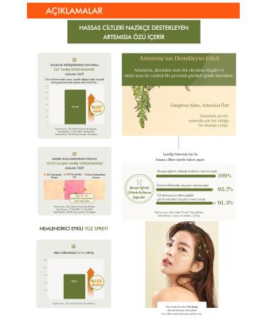 Missha Moisturizing & Tension Reducing Mist Artemisia Calming Essence Mist 120 ml - Buy Online on GoSupps.com