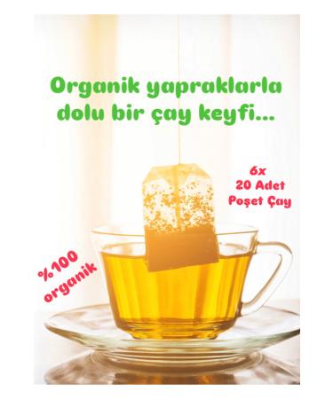 muliva lLHAN SARl 6 Pcs Organic Herbal Tea 20 Pcs Box Zleaf Tea Bag Detox Form Tea - Buy Online on GoSupps.com