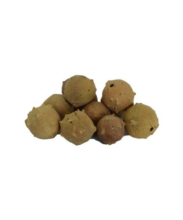 Simbastore Thuja Fruit Cone Natural 100 Gr Package