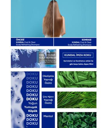 Kundal Refreshing and Refreshing Hair Care Shampoo Scalp Refreshing Cool Shampoo 500ml (AQUA MINT) - Buy Online on GoSupps.com