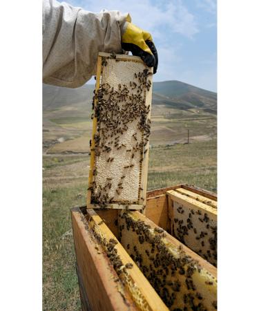 Harvest Time I d r Yayla Flower Honey Extract 1 Kg - Buy Online on GoSupps.com