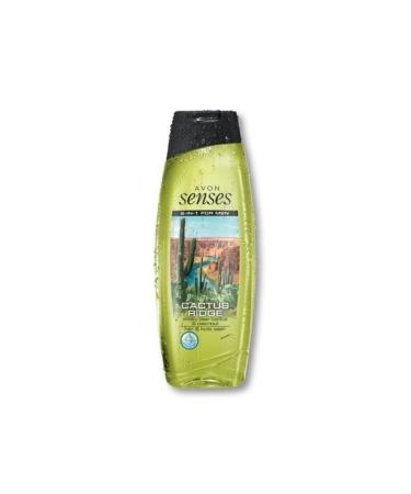 Avon Senses Cactus Ridge Hair and Body Shampoo 500 Ml Price