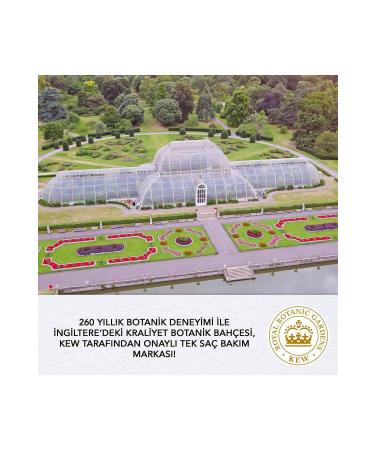 Herbal Essences Sulfate Free Aloe & Avocado Pure Super Shampoo 380ml - Buy Online on GoSupps.com