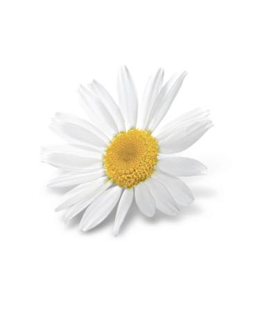 NIVEA Men Protect & Care After Shave Balsam Helps Soothe the Skin Sensitive Skin 100 ml - Buy Online on GoSupps.com