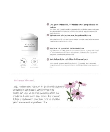ACCOJE Jeju Time Repair Eye Cream - Anti-Aging Eye Contour Care from Korea - Buy Online on GoSupps.com