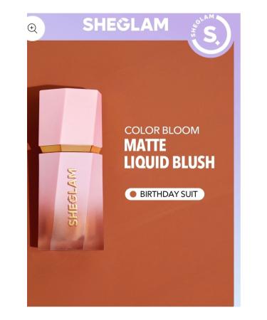SHEGLAM Matte Liquid Blush Birthday Suit