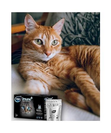 Viyo | Imune | Cat | Prebiotic Supplementary Food | 14x30ml | 14 Pieces | Imunecat | - Buy Online on GoSupps.com