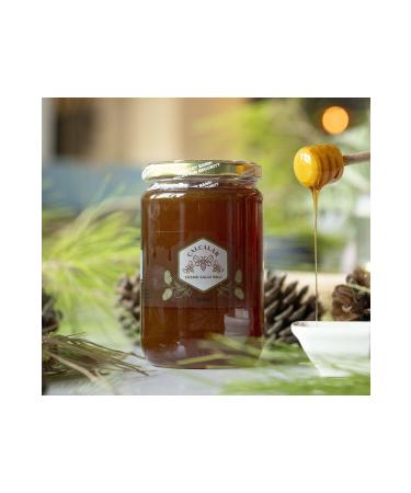 ALCALAR ALCALAR EXTRACTED PINE HONEY EXTRACTED GLUE HONEY 850 GR JAR