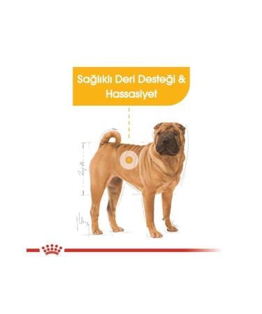 Royal Canin RC Royal Canin Medium Breed Dermacomfort Adult Dog Food Adult Dog Food 12KG - Buy Online on GoSupps.com